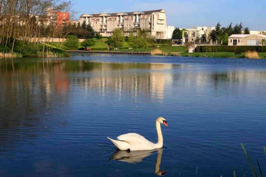 Tres Bel Appartement Entre Paris Et Disneyland Lognes Exteriör bild